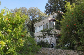 Studio Zaton Veliki 9054a